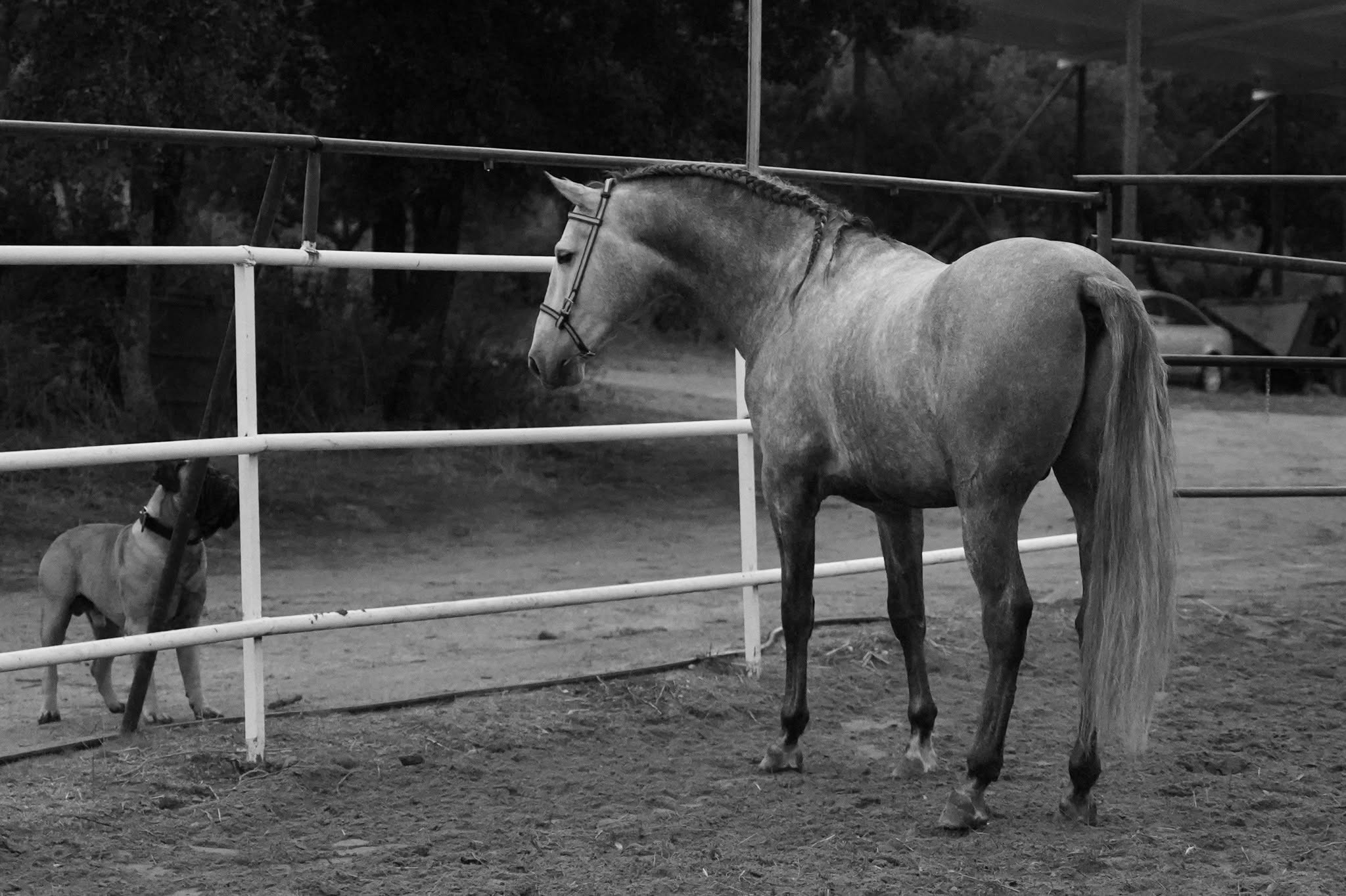 General De Centurion photo 1