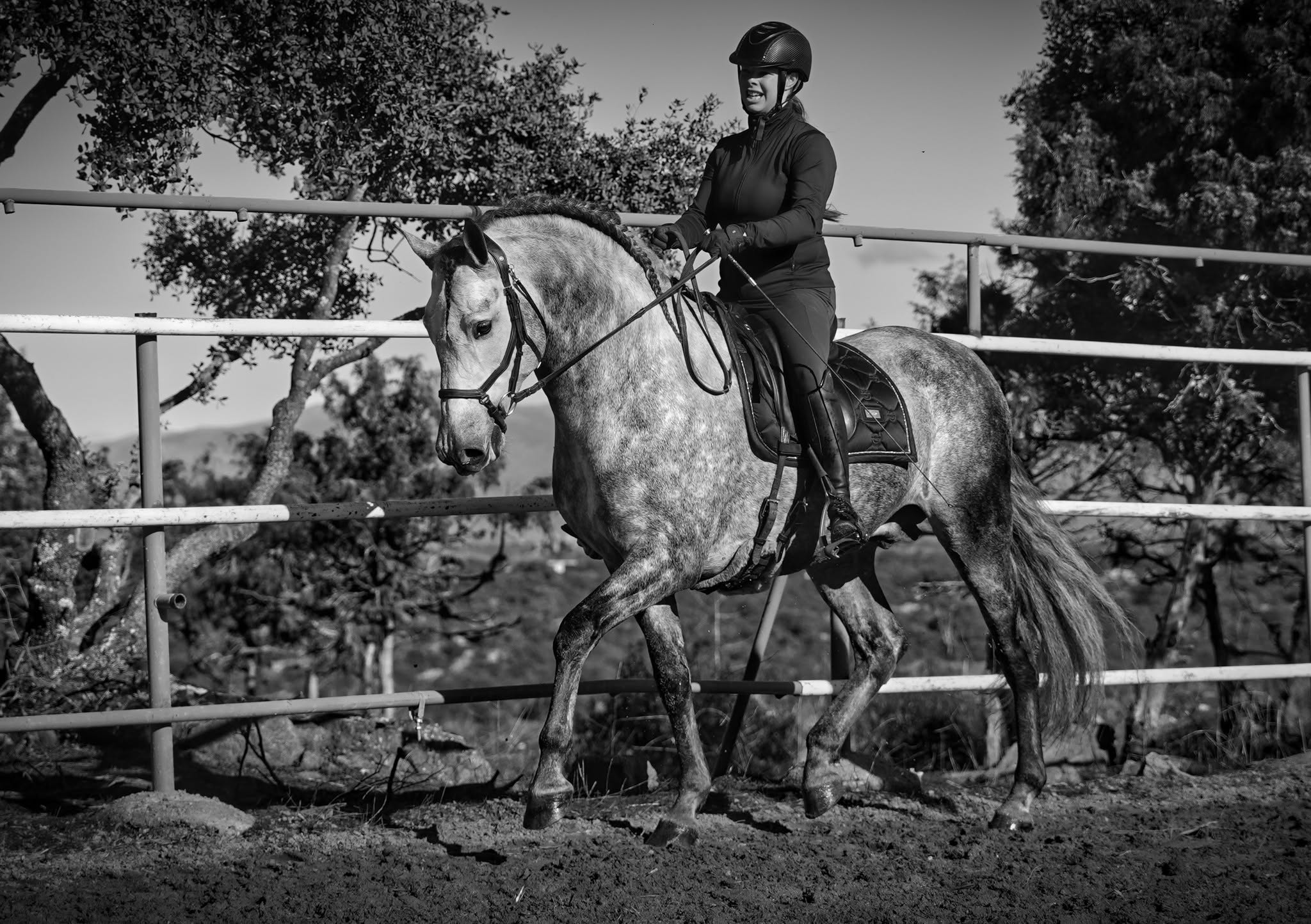 Enrico De Centurion photo 8