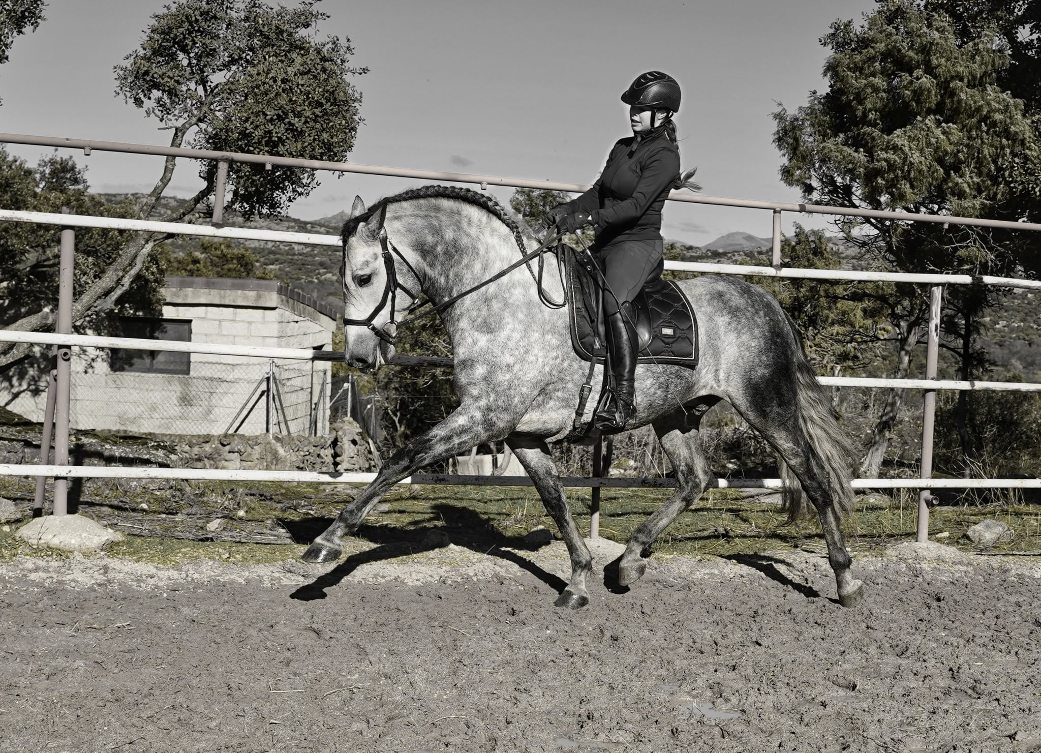 Enrico De Centurion photo 5