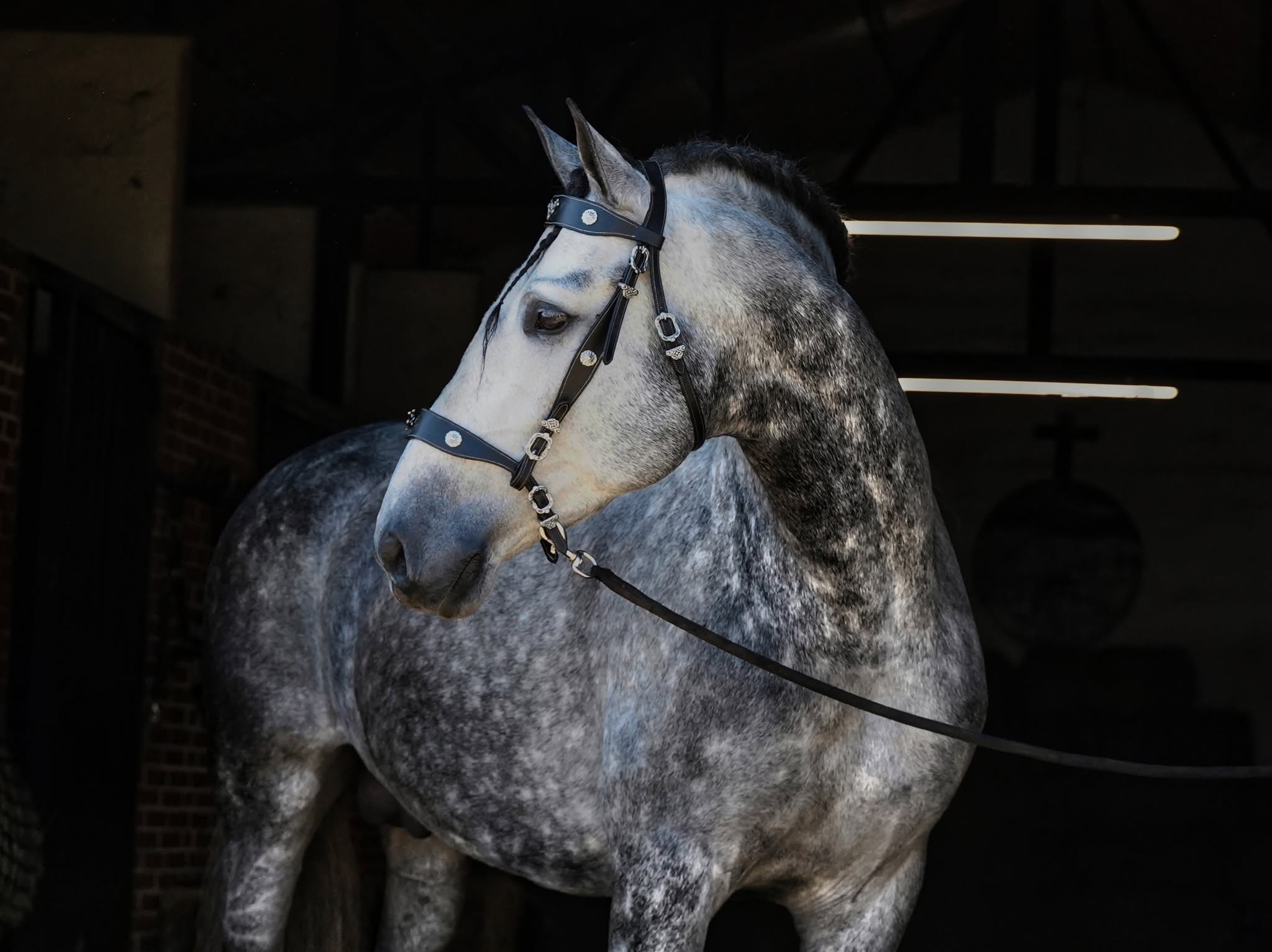 Enrico De Centurion photo 1