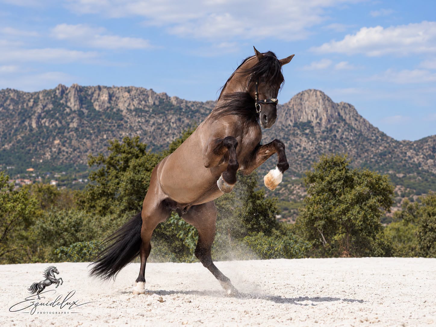 Montanes photo 4