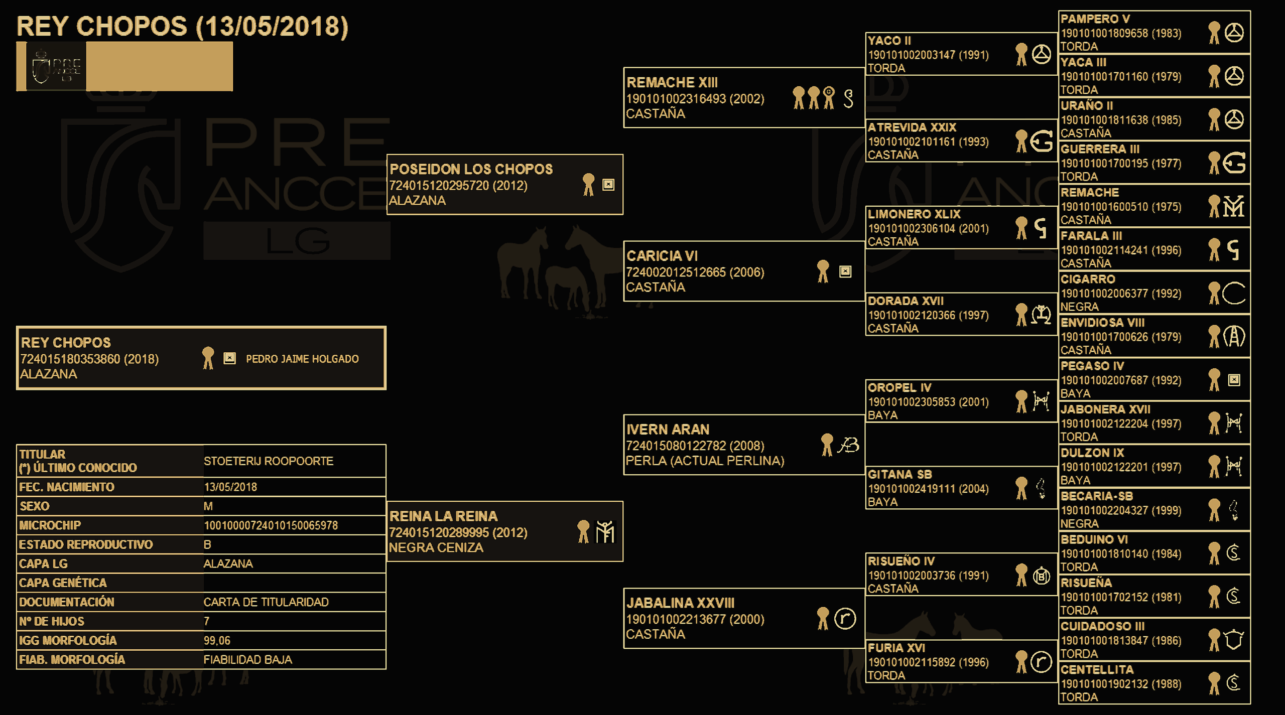 Rey Chopos pedigree