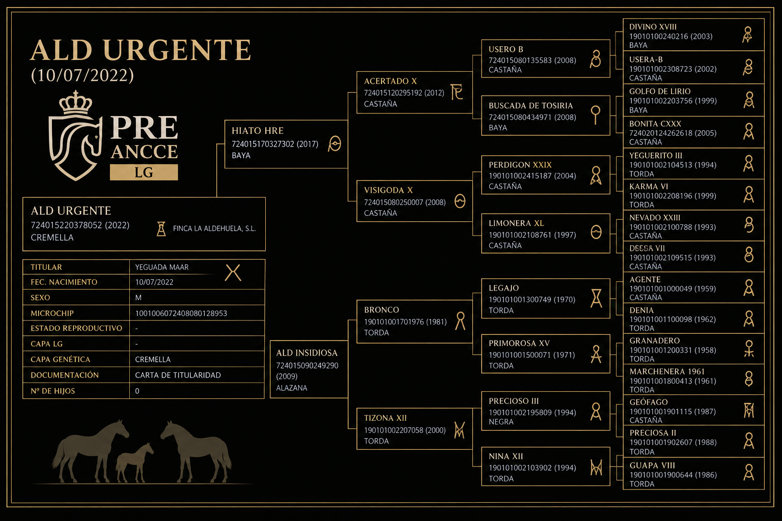 ALD Urgente pedigree
