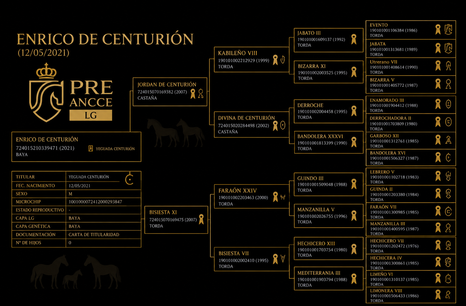 Enrico De Centurion pedigree